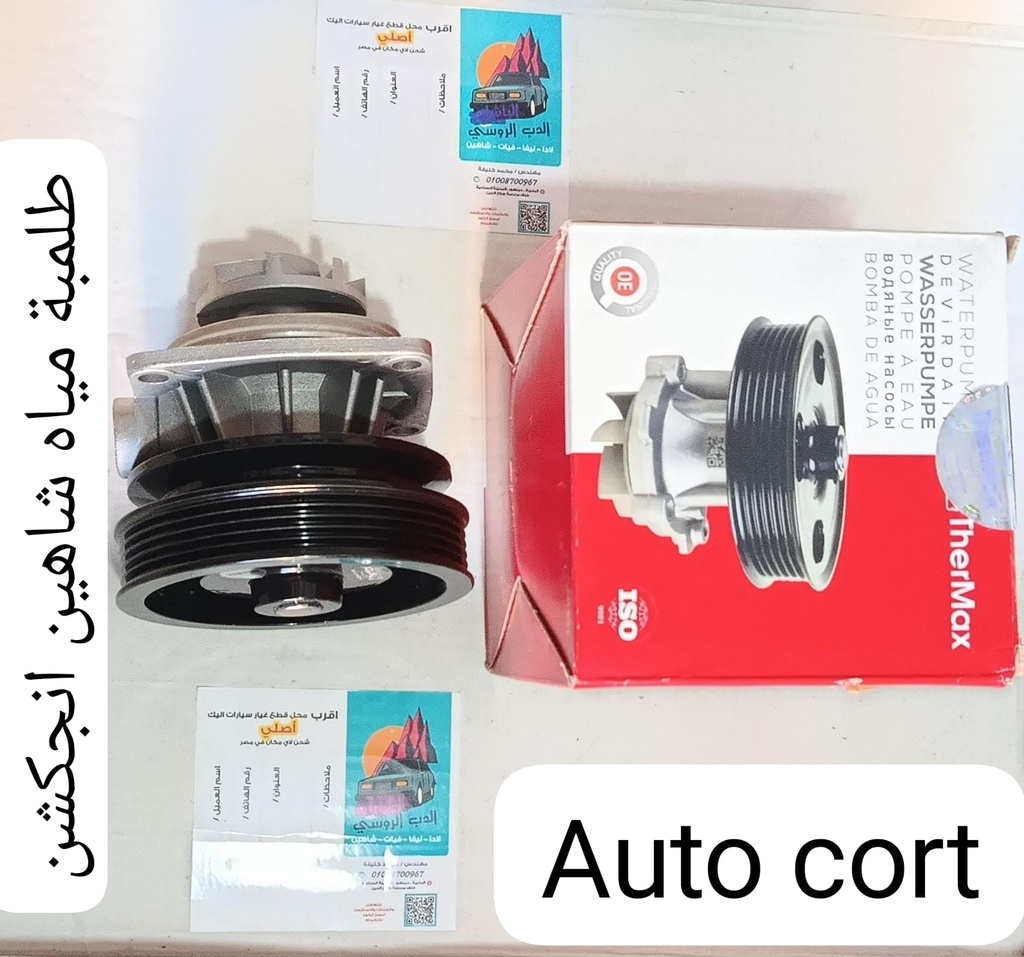 طلمبة مياه شاهين انجكشن thermax